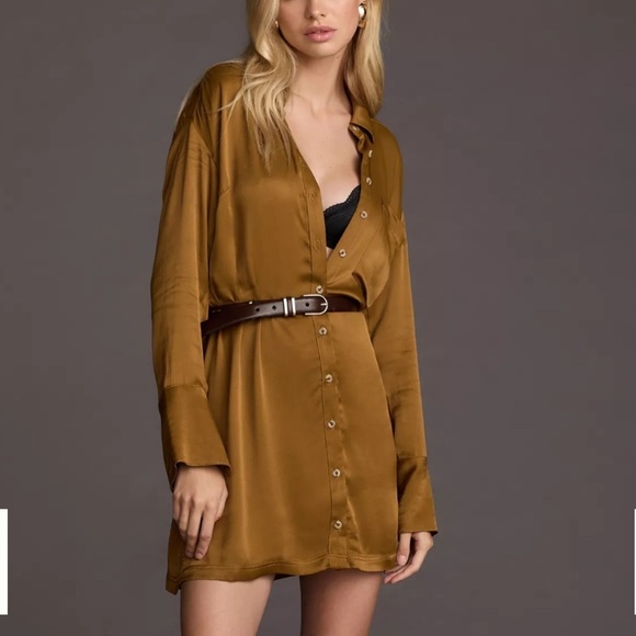 Anthropologie Dresses & Skirts - NWT Anthropologie Pilcro Long Sleeve Silky Mini Dress sz 2